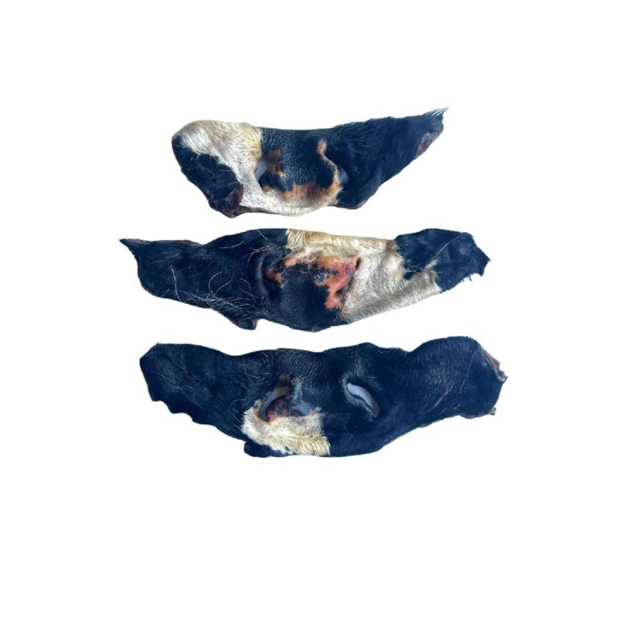 Cow Nose with Fur