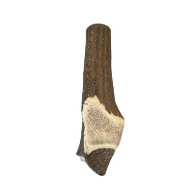 Antler (large)
