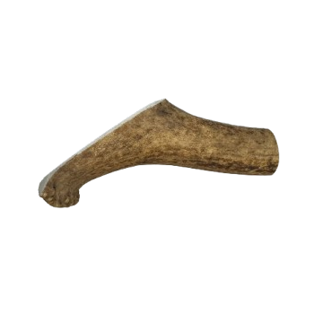 Antler (Medium)