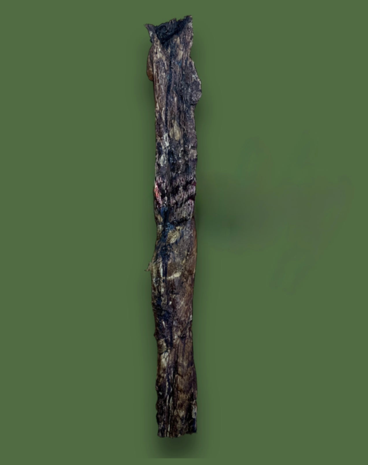 Giant Buffalo Jerky