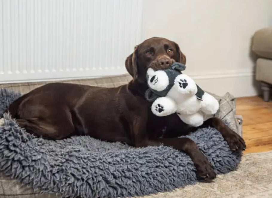 Webbox Plush Collie Dog Toy