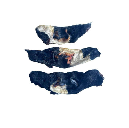 Cow Nose with Fur