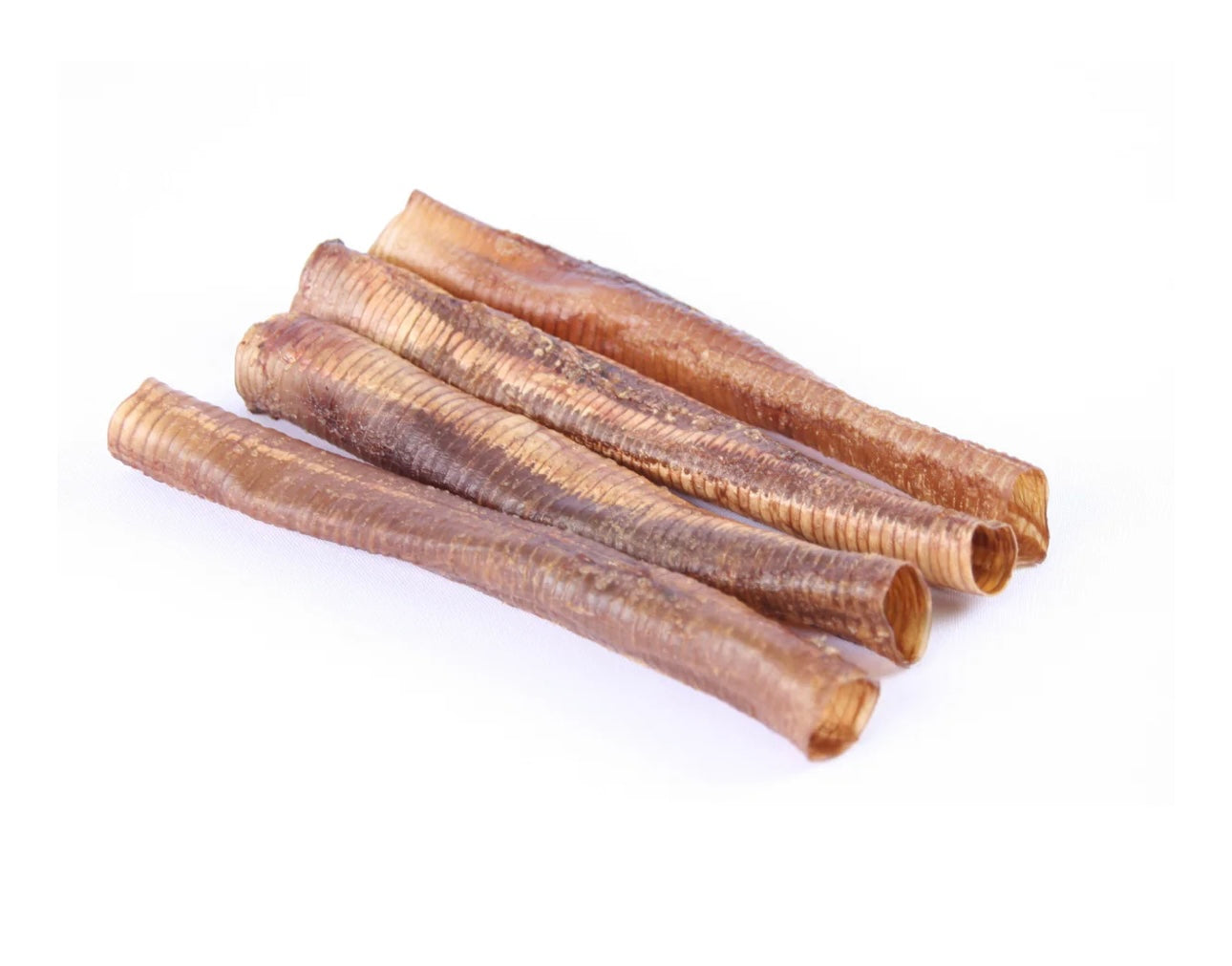 Ostrich trachea