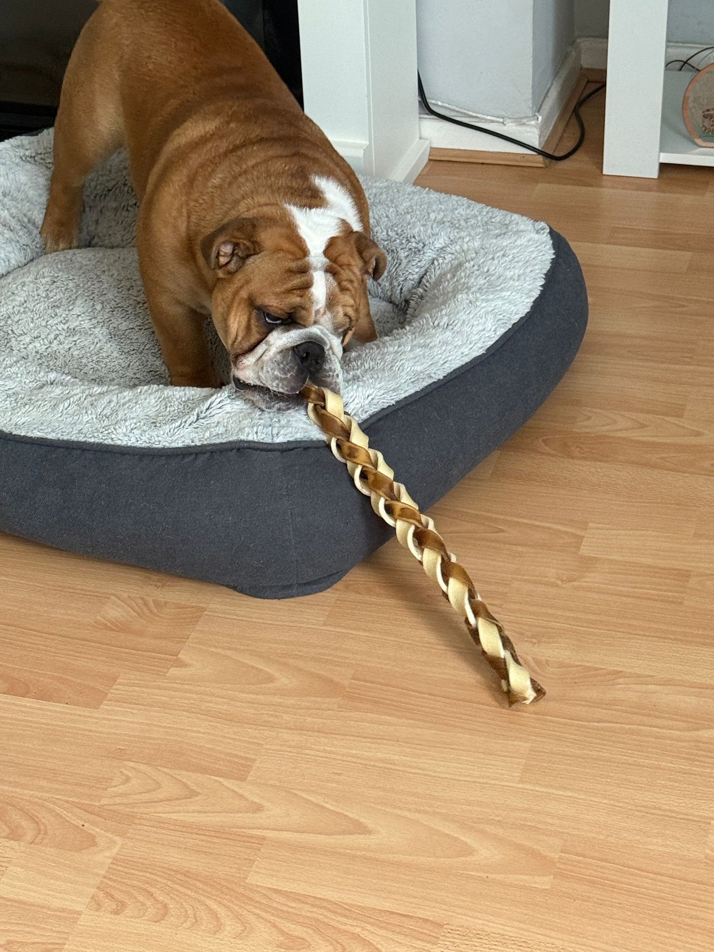 Giant Beef and Camel Braid