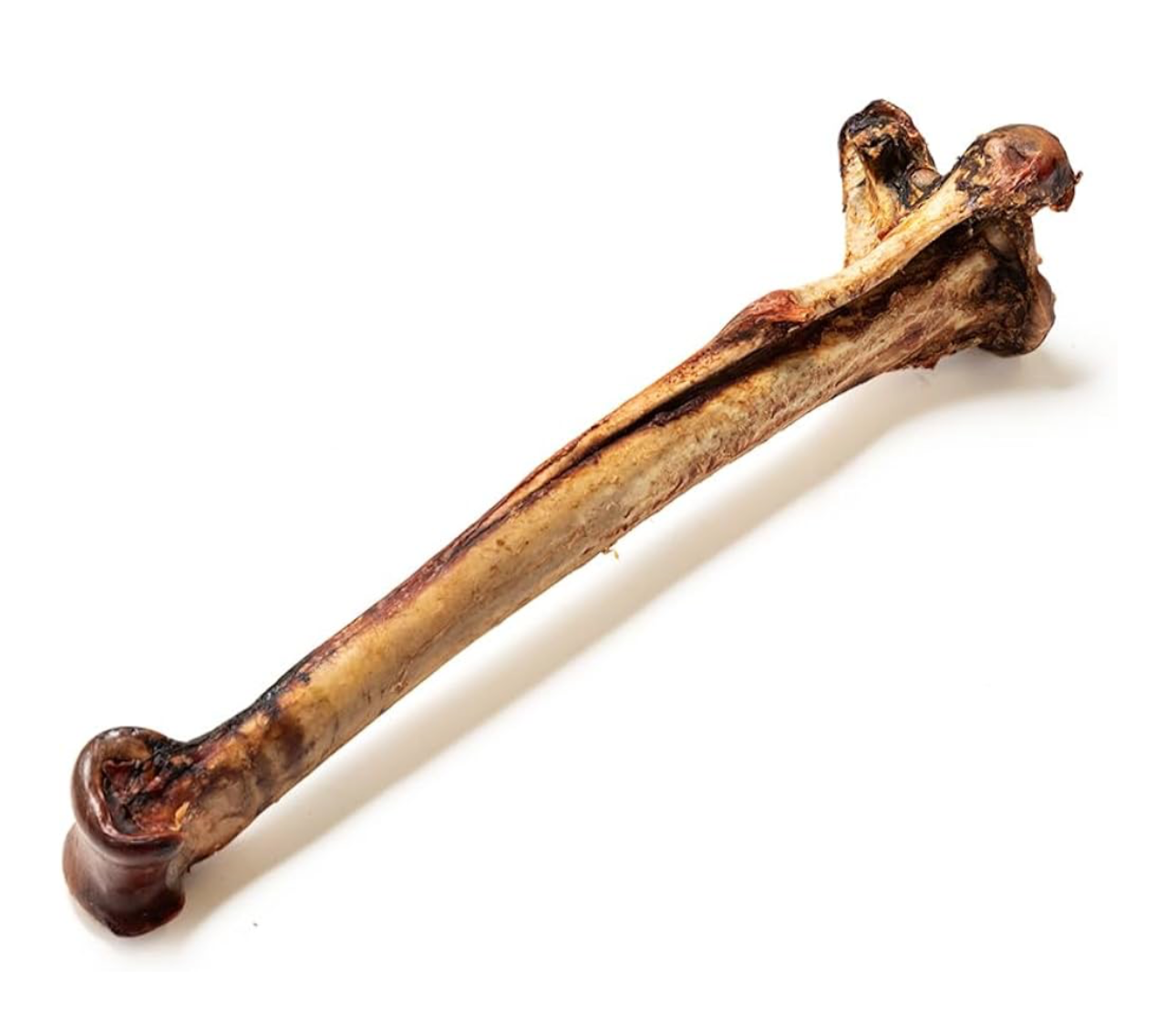 Ostrich Whole Metatarsus Bones