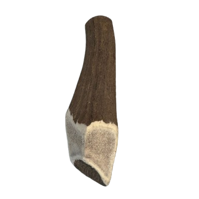 Antler (large)
