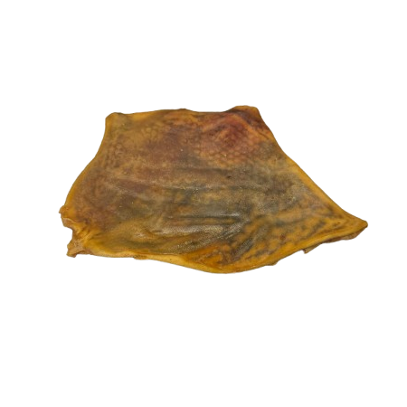 Camel Skin Plate Large