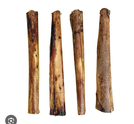 Ostrich Marrow Bones Large