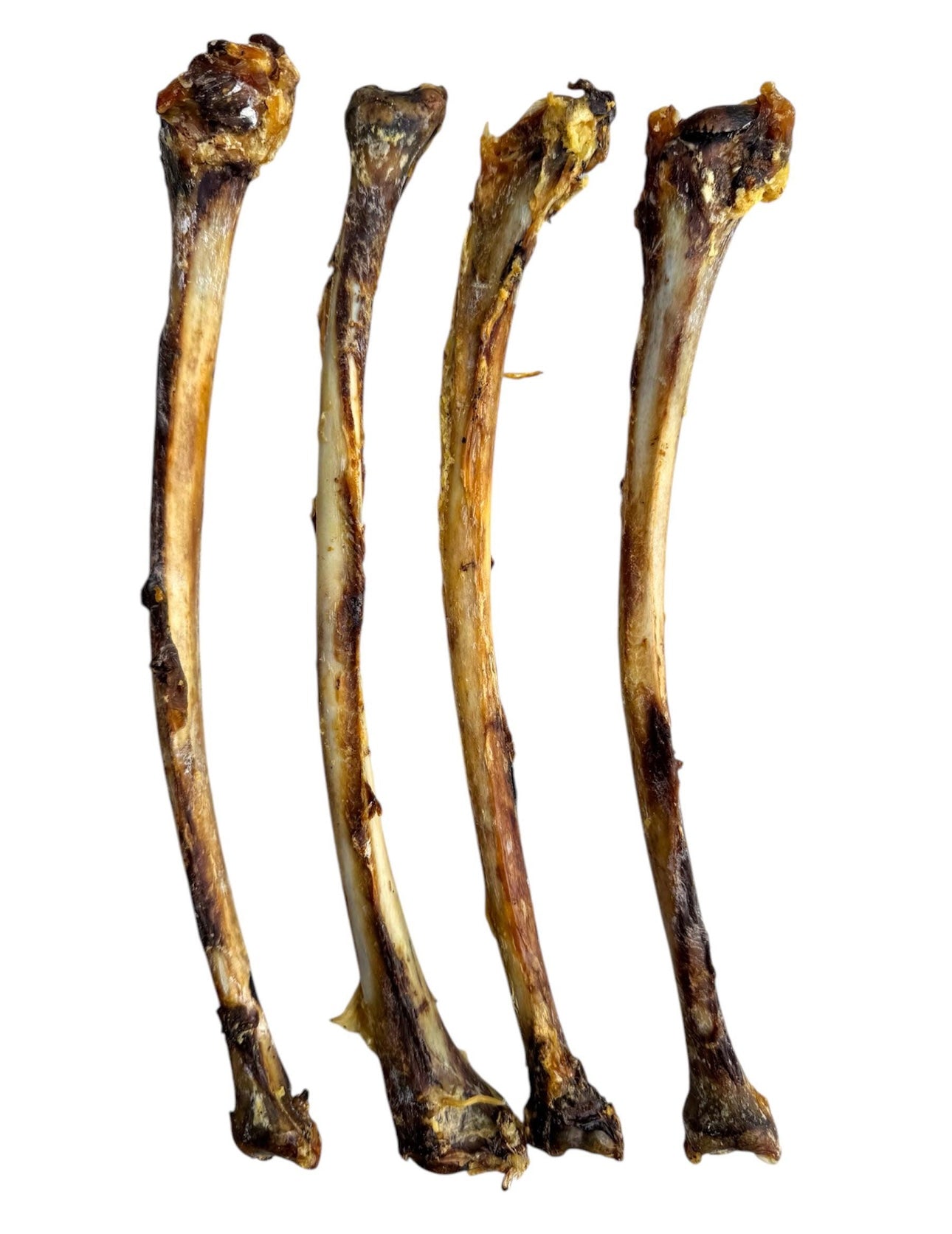 Ostrich Wing Bones