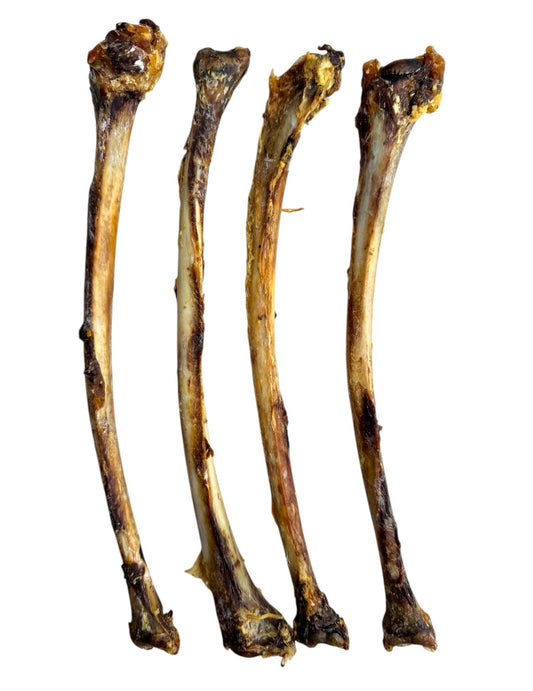 Ostrich Wing Bones