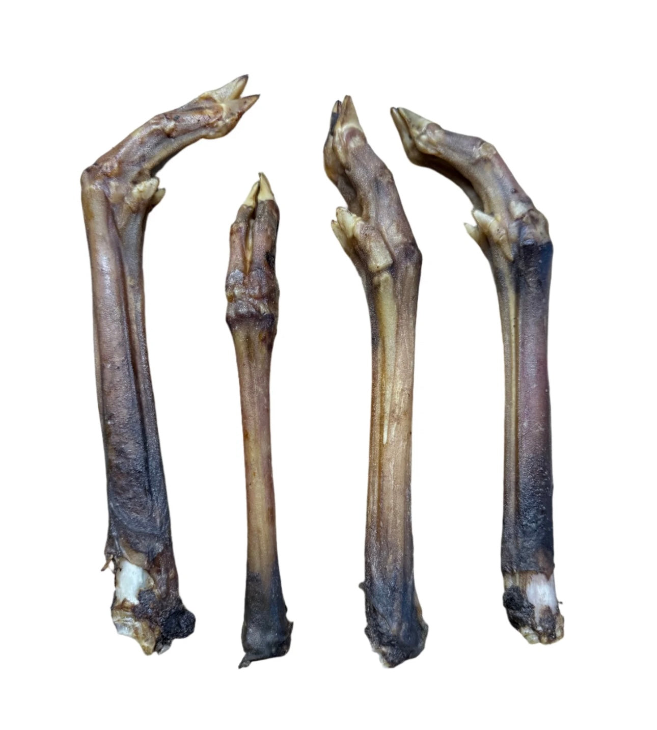 Natural Deer Leg