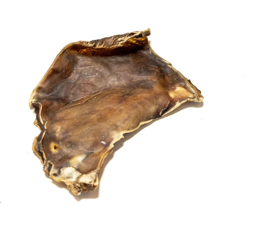 Camel Skin Plate Small