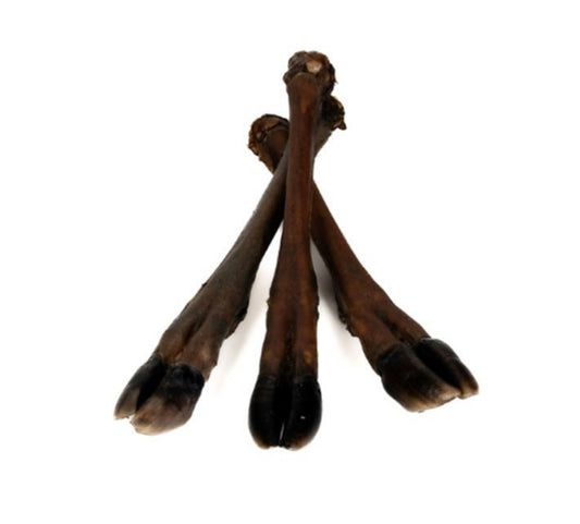 Venison leg large