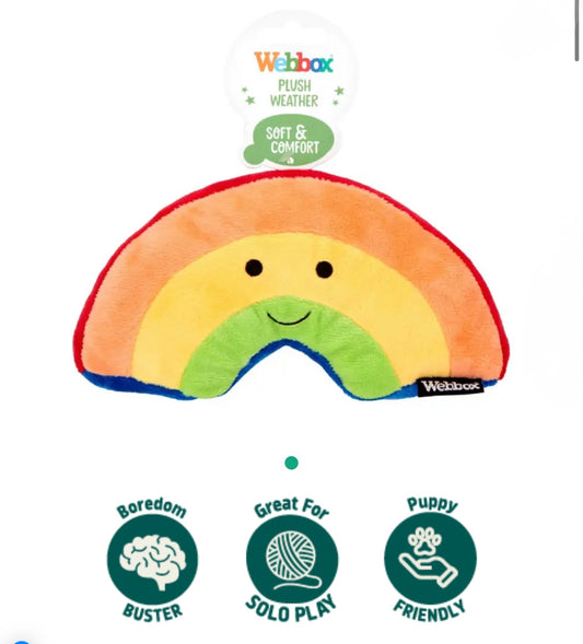 Plush Rainbow Dog Toy
