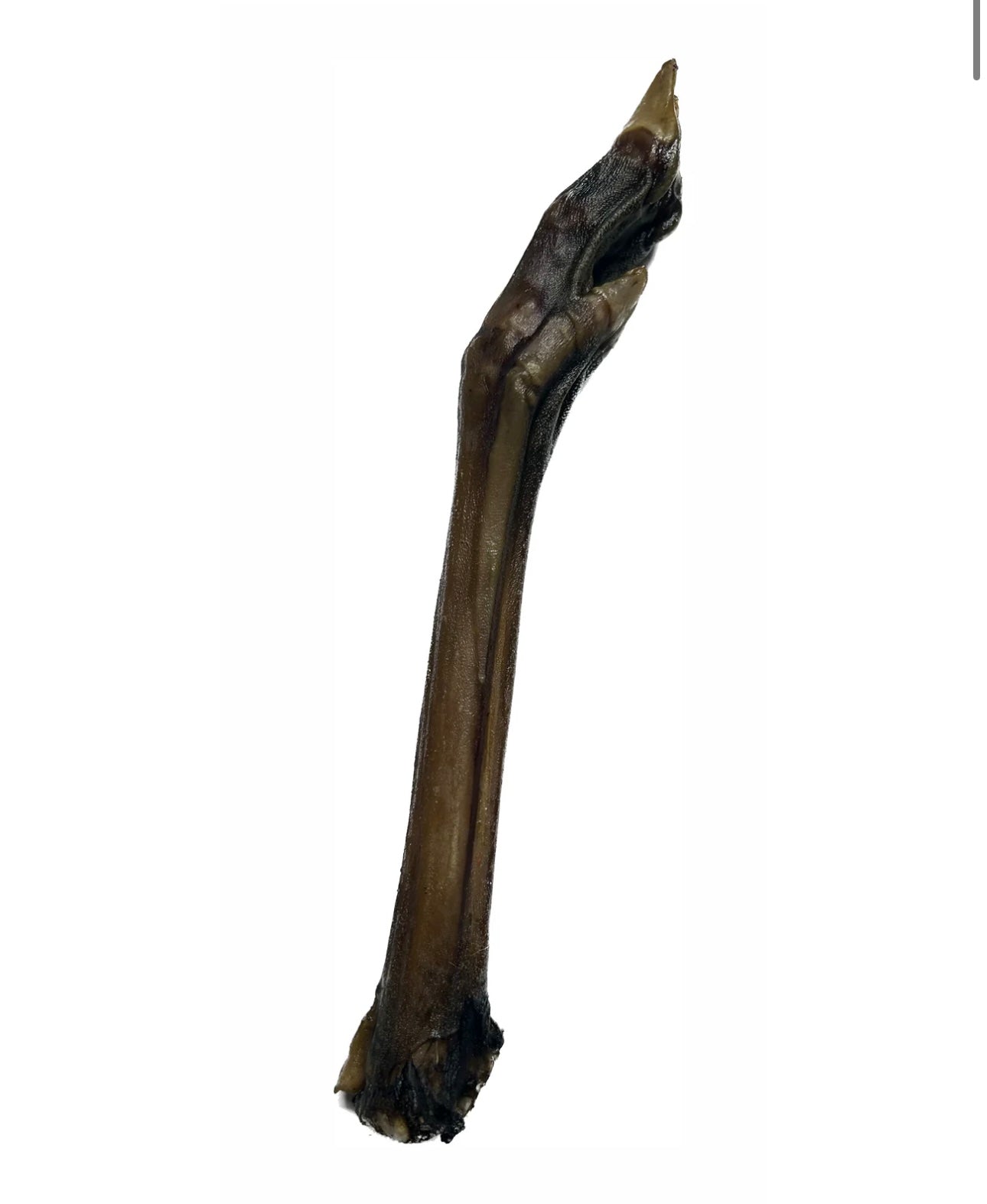 Natural Deer Leg