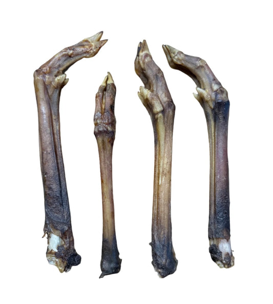 Natural Deer Leg