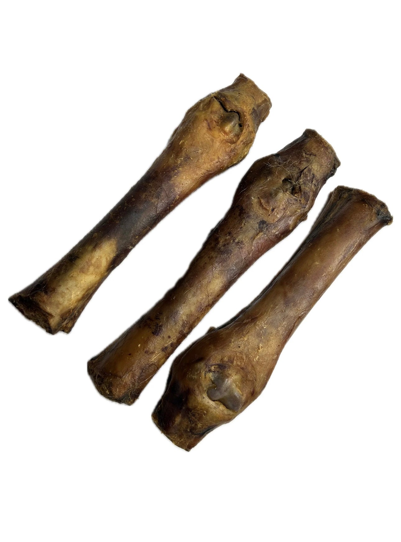 Horse Leg Bone