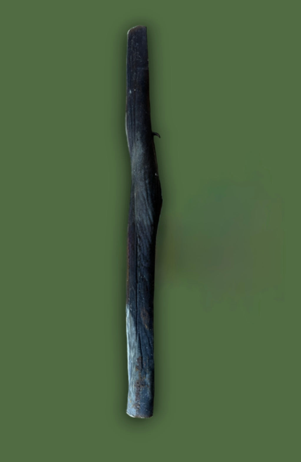 Giant Camel Stick