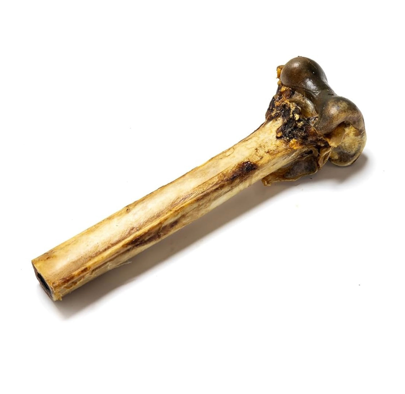 Ostrich Mini Caveman Bone