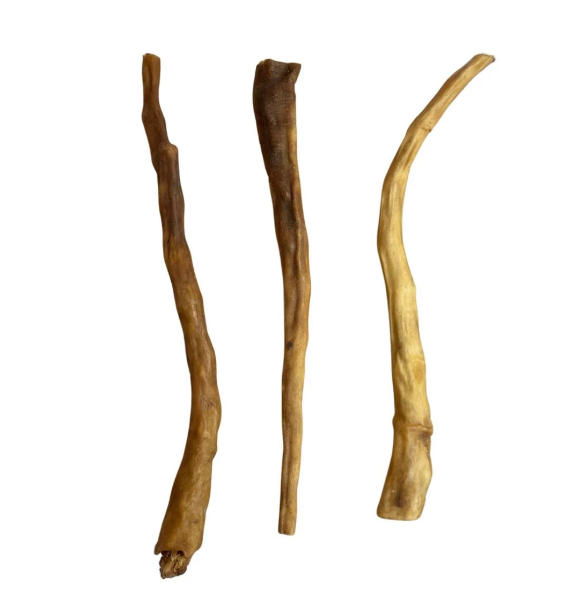 Giant Beef Tail