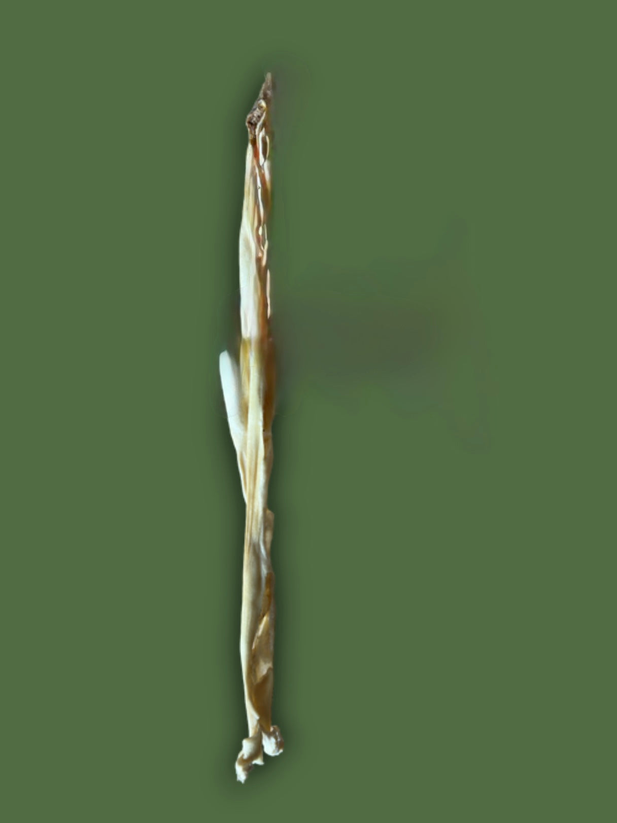 Giant Goat Stick