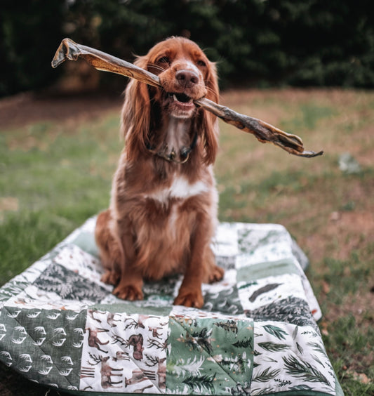 Giant Deer Stick